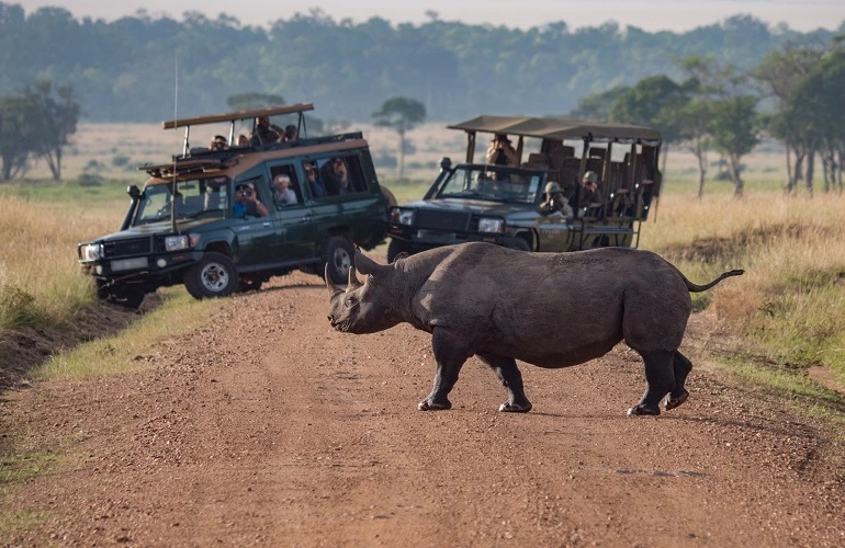 Best Tanzania safari day trip