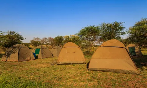 The best African 5 days Tanzania camping safari in 2023 and 2024