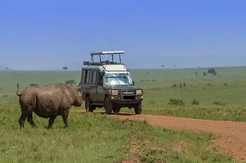 Best 8 days Tanzania camping safari
