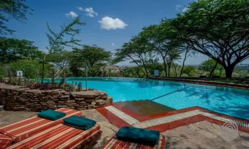The best 4 days Tanzania lodge safari for 2023 and 2024
