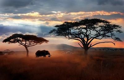 Best time to visit Tanzania 2024/2025