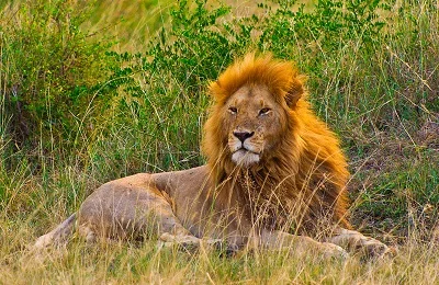 Activities in Arusha National Park