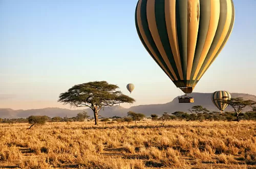 Best 10 days Tanzania safari and Zanzibar 2024/2025