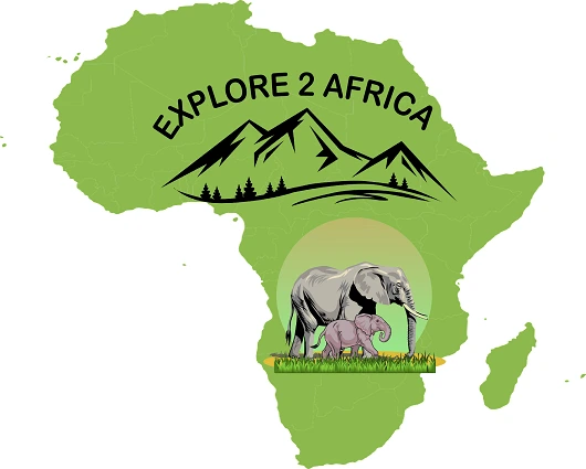 Best African safari travel agency 2023 and 2024