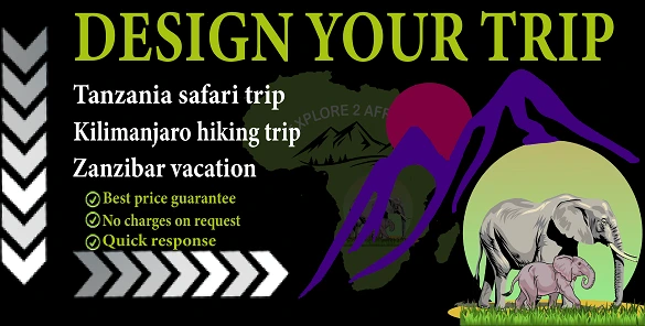 Design your trip to Tanzania safari, Kilimanjaro hiking, and Zanzibar vacation | Tailor-made