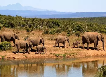 Tanzania big 5 private safari | 2, 3, 4, 5 days to Tarangire, Serengeti, Ngorongoro Crater, and Manyara