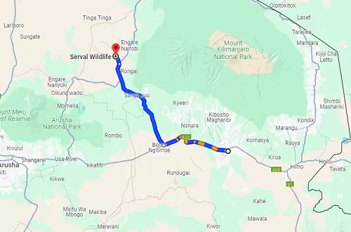 Distance from Moshi to Serval Wildlife