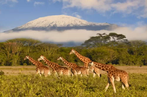 Why is Mount Kilimanjaro important?