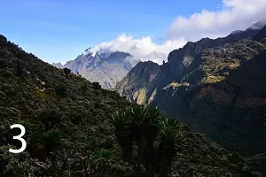 Rwenzori Mountains (Mount Stanley): 5,109 meters (16,762 feet) in Uganda and the Democratic Republic of the Congo