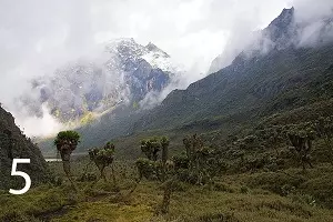 Mount Baker: 4,844 meters in Uganda