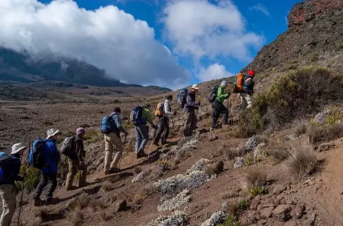 Best 8 days Kilimanjaro group join Lemosho route