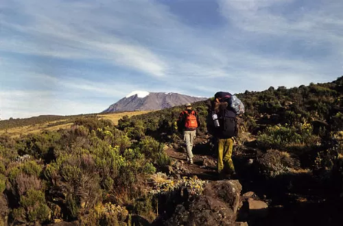 Best Kilimanjaro hiking tours 2024/2025