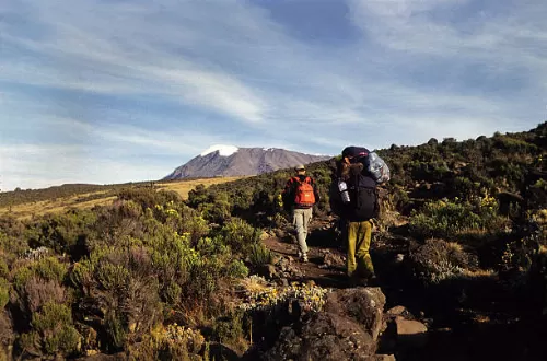 Best Kilimanjaro hiking tours 2025/2026 Best Kilimanjaro hiking tours 2025/2026