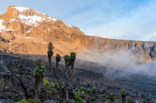 Which Kilimanjaro route is best?