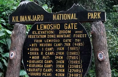 Kilimanjaro's Lemosho route itinerary