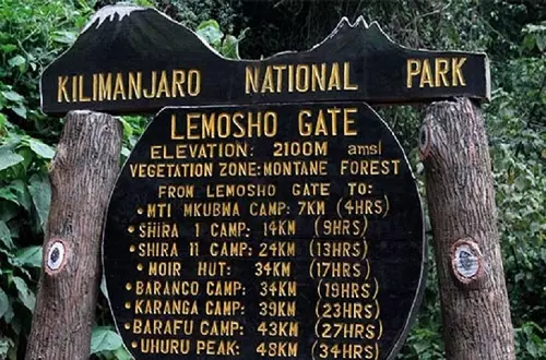 Lemosho route reviews