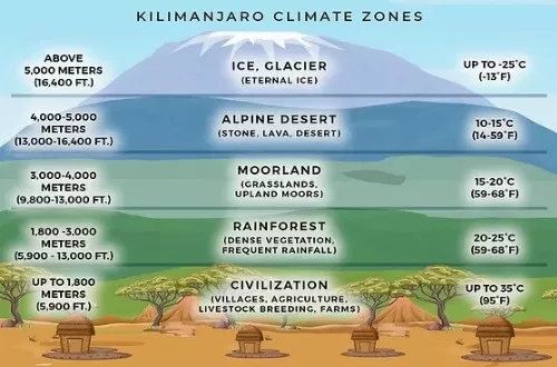 Mount Kilimanjaro's ecological climate zones