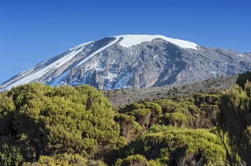 African Kilimanjaro & Machu Picchu in Andes Mountains of Peru in 2023 and 2024