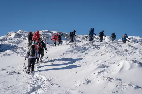 Best 7 days Kilimanjaro group join Machame route