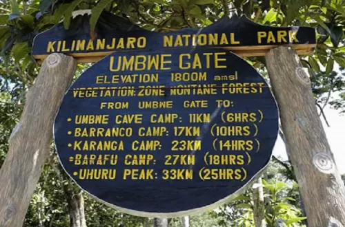 Kilimanjaro's Umbwe route distance and elevation