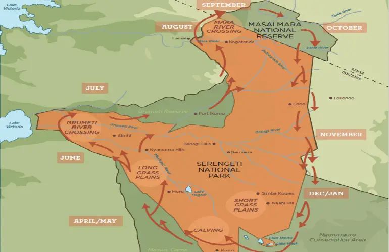 The great wildebeest migration safari map