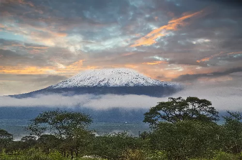 What level of fitness is required to climb Kilimanjaro?