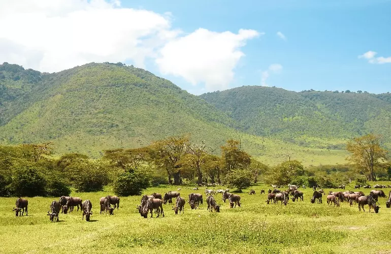 2 days safari Tarangire and Ngorongoro