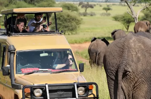 5 days photography safari in Tanzania to Tarangire, Ngorongoro Crater, Serengeti, and Manyara