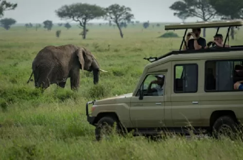 6 days Tanzania luxury lodge safari