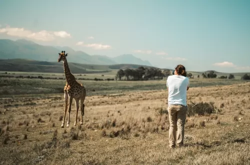 Best 4 days African photo safari tours to Serengeti, Ngorongoro Crater and  Tarangire in Tanzania