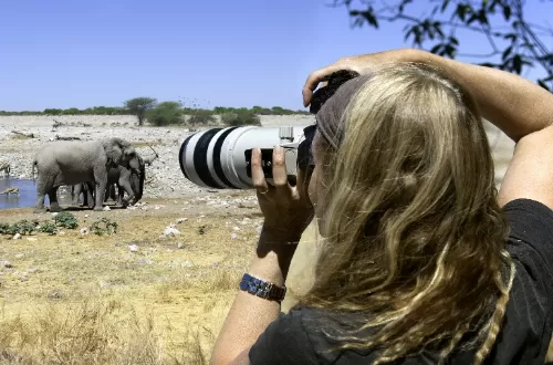 Best African photo safari in Tanzania