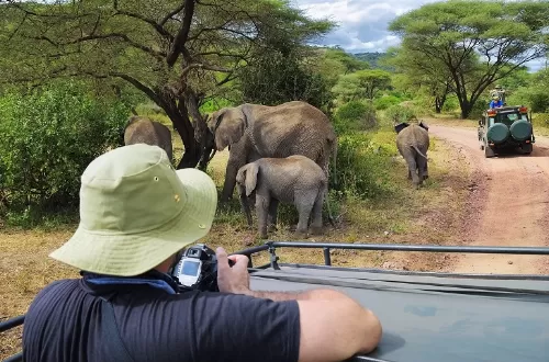 Best African photo safari in Tanzania 2023 and 2024