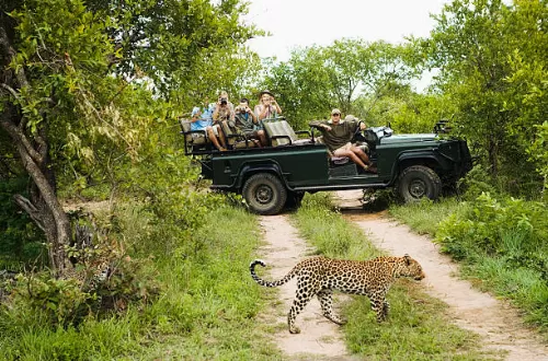 5 days Kruger safari