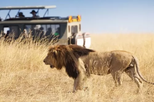 Can you do a two day safari in Tanzania?