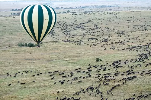 Best 3 days Serengeti hot air balloon safari in Tanzania