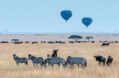 Best hot air balloon safari in Tanzania