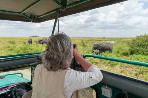 Tanzania Safari Group Tours in August 2026/2027