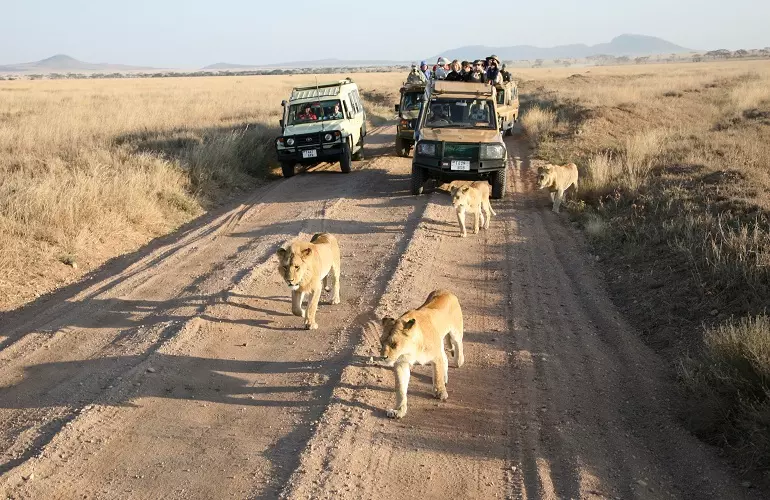 Best Tanzania vacation packages
