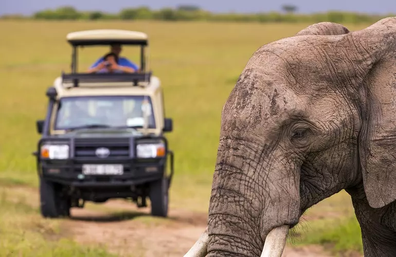 The best 1-day Tarangire National Park tour trip on Tanzania safari