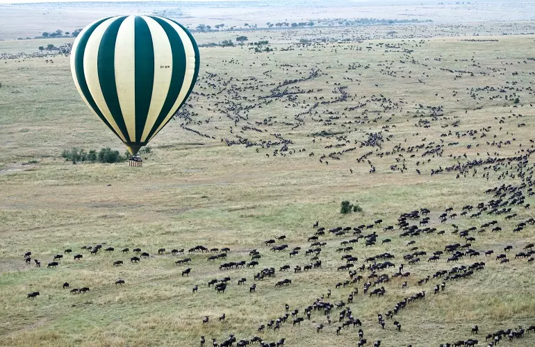Best Serengeti and Ngorongoro Crater safari