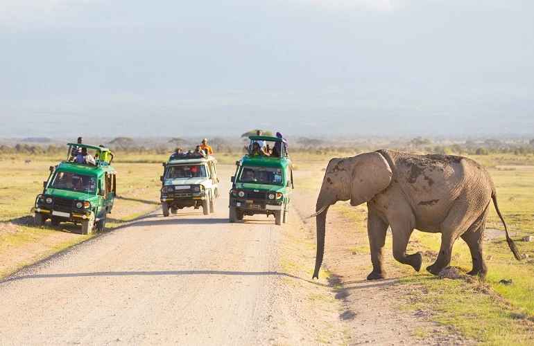 Best African 5 days Tanzania private safari in 2023 and 2024