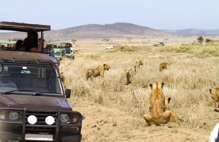 Best 4 days Tanzania private safari 2024 and 2025