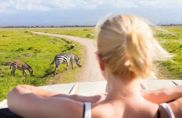 Where to go on safari in January 2023 and 2024