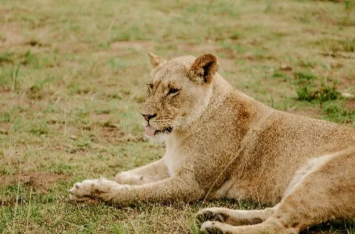 2 Days Lake Manyara and Ngorongoro Safari Price
