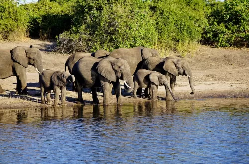 Best 2 Days Selous Safari from Dar es Salaam