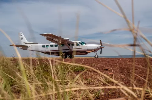 2 Days Selous Safari with Flights From Zanzibar