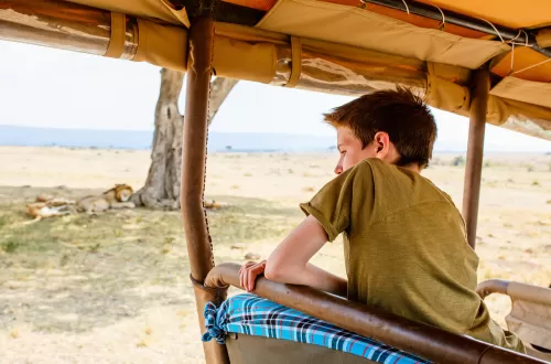 Book Your 2 Days Tanzania Safari with Kids Now