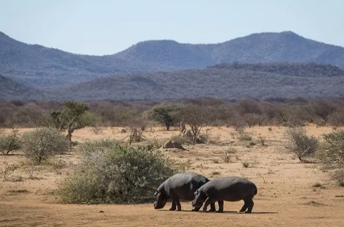 2 Days Tarangire and Ngorongoro Safari Price