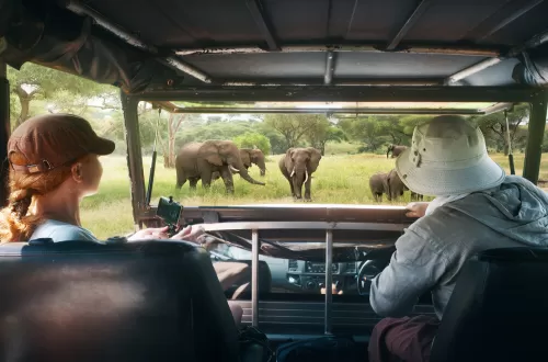 4 Days Honeymoon Safari Tarangire Serengeti and Ngorongoro
