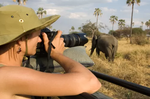 4 Days Private Safari: Tarangire, Serengeti, and Ngorongoro
